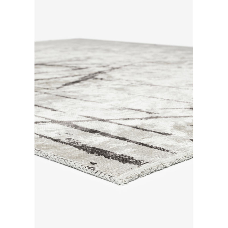 Amous Rectangle Abstract Cotton and Viscose Indoor / Outdoor Area Rug, Rectangle 6'6" x 9'10"