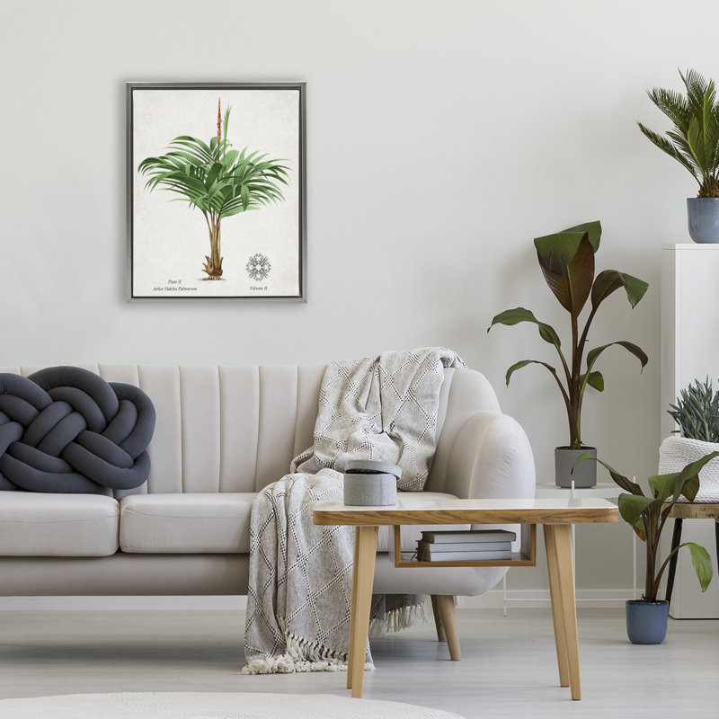 Cadre flottant Natural Palm, H 21 po x l 17 po, Cadre flottant gris lustré