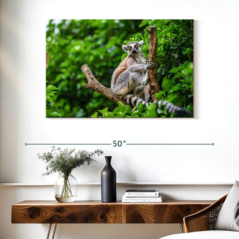 Brampt Stunned Lemur, 26" H x 39" W