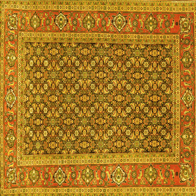 Anfisa Washable Oriental Indoor Rug