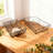 S/2 Rectangular Iron Trays,Black