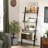 Ciotti Ladder Bookcase-528016280