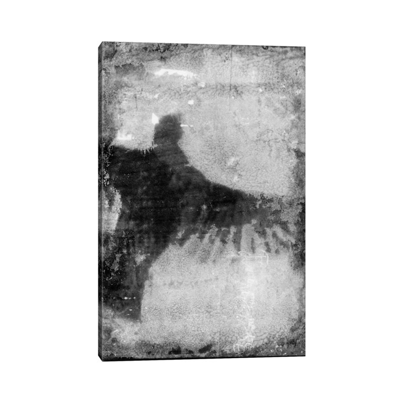 B&W Flight VIII by Ingrid Blixt - Wrapped Canvas Print, 20.32 cm H x 30.48 cm W