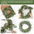 20 Inch Eucalyptus Wreath