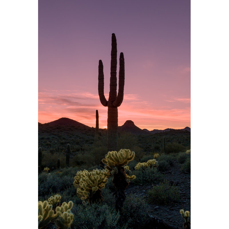 Gaskin Arizona Desert Sunset - Wrapped Canvas Print, 46cm H x 30cm W x 3.8cm D