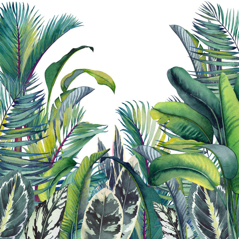 Papier peint amovible feuilles de bananier tropical, L 9 po x l 15 po