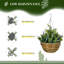 34cm Faux Flowering Plant in Wicker/Rattan Basket
