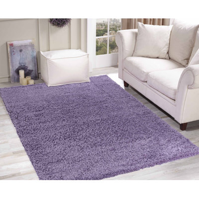 Dewey Solid Colour Shag Area Rug