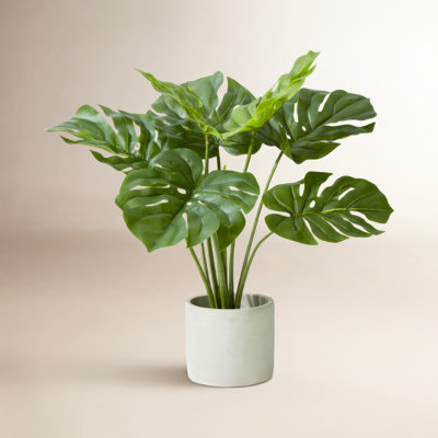 21'' Faux Evergreen Plant in Cement Pot