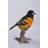 Oriole on Branch Statue