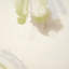 Lime Light 1 Framed Acrylic Painting Print-437323133