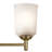 Shailene 3 - Light Steel Dimmable Classic / Traditional Chandelier