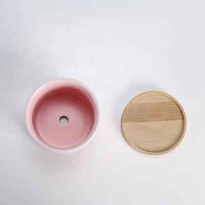 Zelal 2-Piece 4.5" Ceramic Pot Planter Set