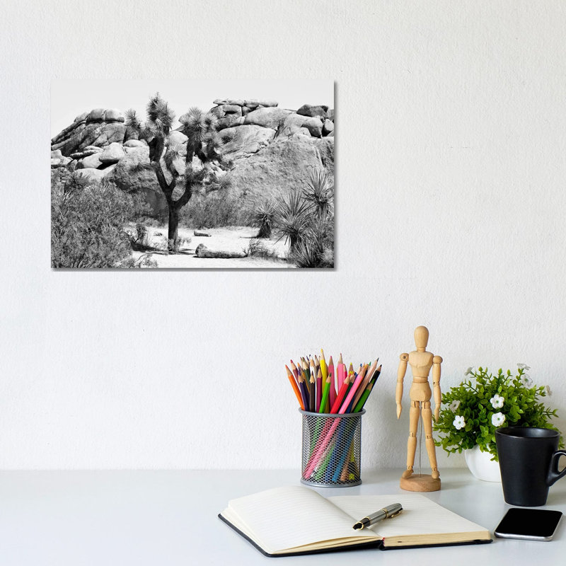 Black California Series - Joshua Tree - Wrapped Canvas Print, 20.32 cm H x 30.48 cm W