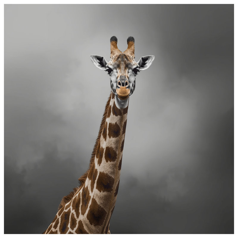 Girafe avec rideaux de douche à col long extra long, L 70 po x H 93 po