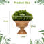 29cm Faux Elephant Ear Plant in Pot