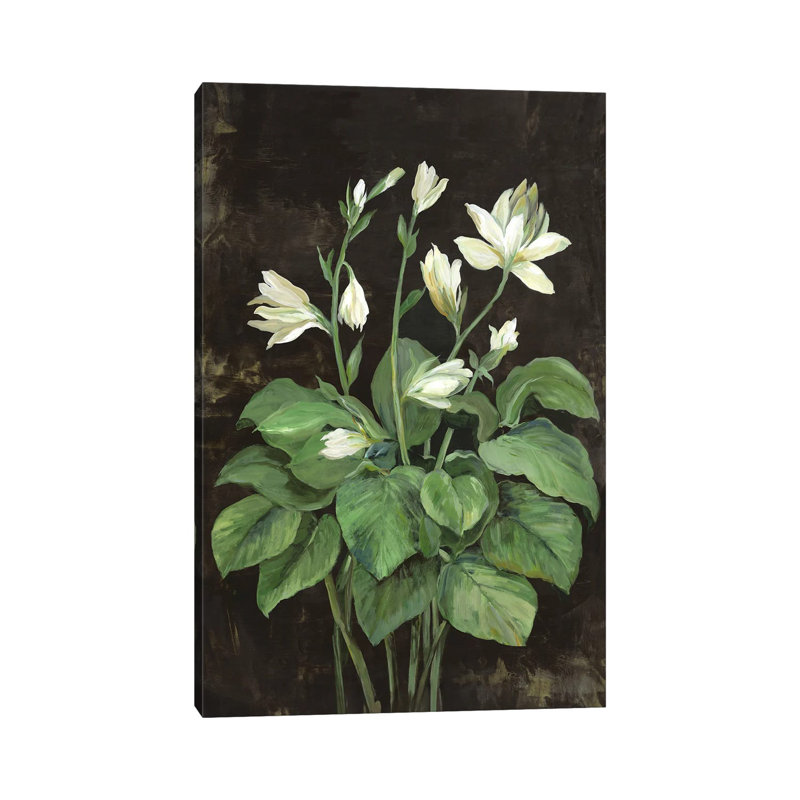 Blooming Hosta - reproduction d'art murale - toile encadrée, Toile tendue, Ne s’applique pas, H 18 po x l 12 po