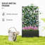 Metal Raised Garden Bed with Trellis