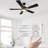 Briyan 52'' Ceiling Fan with LED Lights-683192710