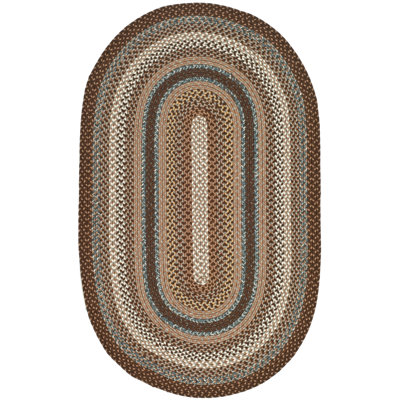 Striped Hand Woven Indoor / Outdoor Area Rug