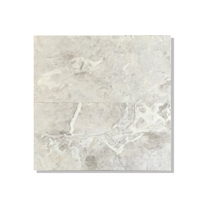Silver Galaxy 6" x 12" Marble Field Tile in Grey