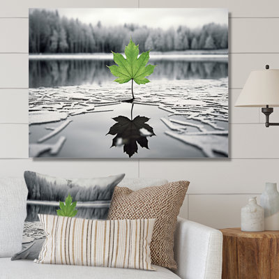 «Green Leaves Solitude In Winter I»
