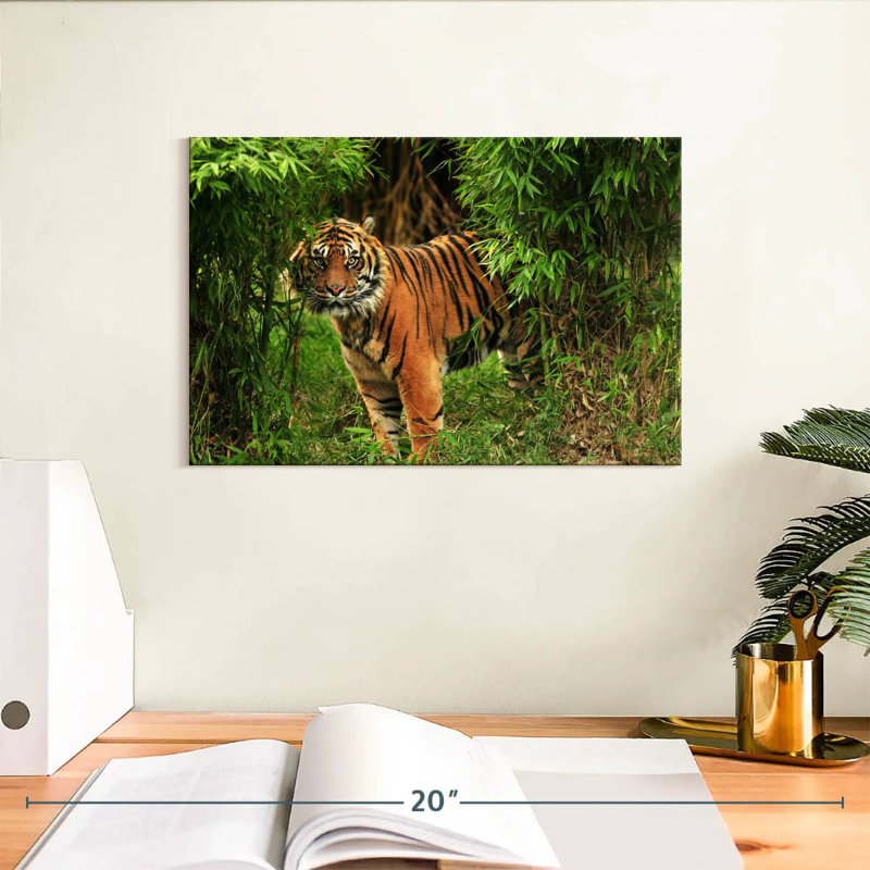 Brampt Jungle Bengal Tiger, 8" H x 12" W