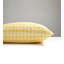 Check Please Square Indoor/Outdoor Pillow Cover & Insert-72902531