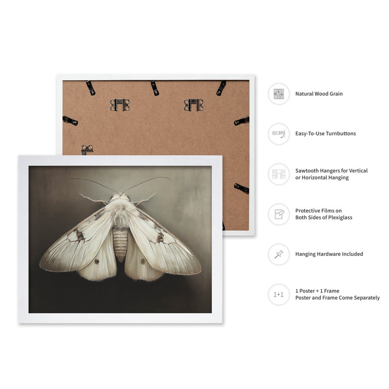 Papillon de nuit, H 24 po x l 32 po, Affiche, Encadrement blanc