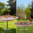 Brodhead Copper and Steel Pedestal Birdbath