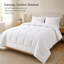Édredon toutes saisons en duvet synthétique à densité de tissage 300 fils Continental Bedding-94009079