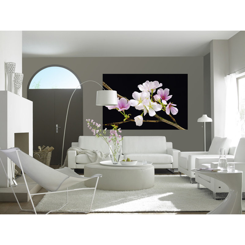 Chiron Wall Mural