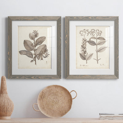 Antique sépia botanicals V - ensemble de 2 reproductions d'art sur papier encadré