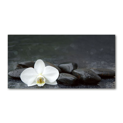 Orchid 1 Piece Wrapped Canvas Wall Art