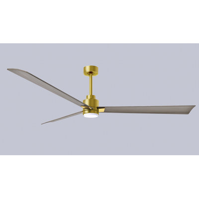 Alessandra Ceiling Fan