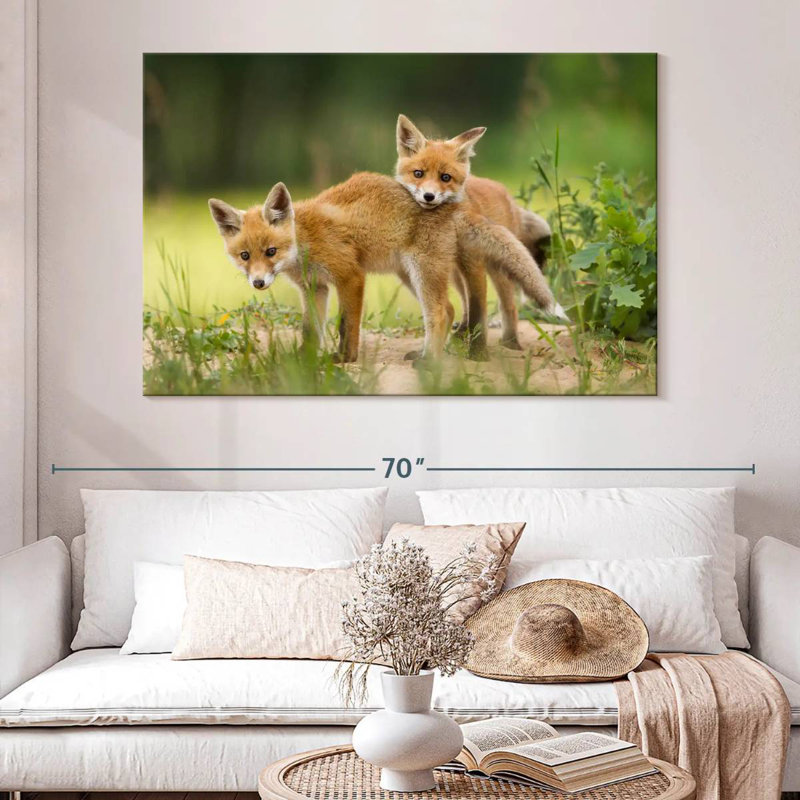 Brampt Fox Kits, 34" H x 51" W