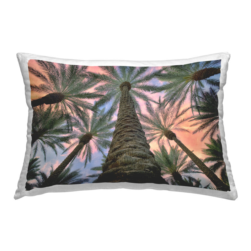 Coussin décoratif haut imprimé par Dennis Frates