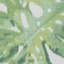 Mindoro Calapan 33' L x 27.5" W Wallpaper Roll-676649347