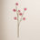 Hibiscus Floral Stems