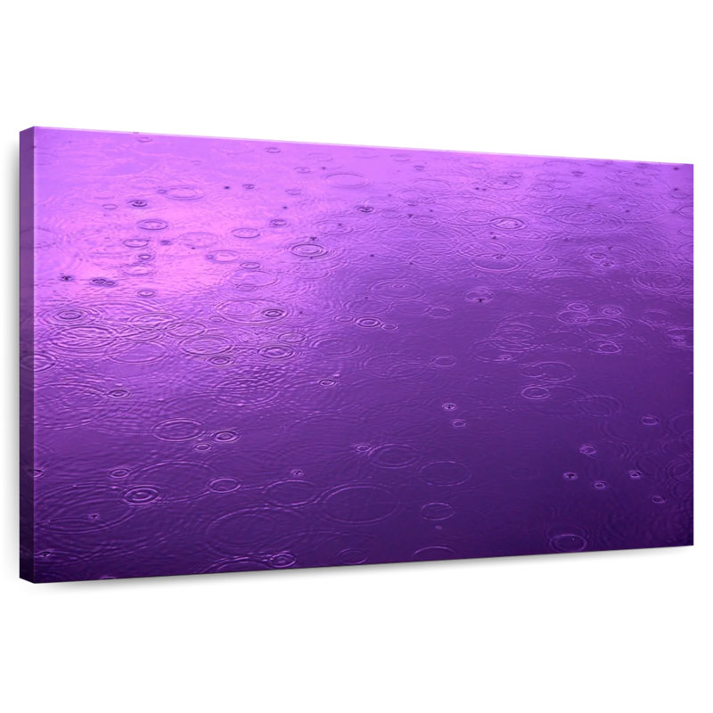 Vue de la pluie mauve Alvord, H 16 po x l 24 po