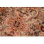 Pangburn Wool Floral Indoor Rug