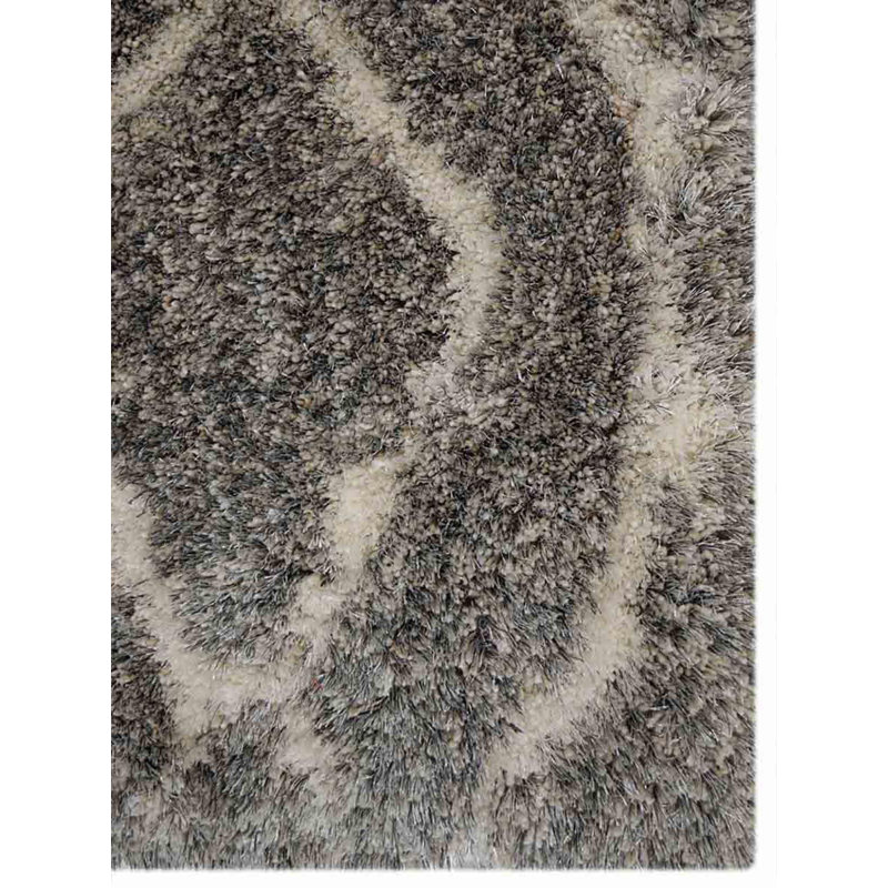 Tapis à poils longs en polyester touffeté à la main Freida, Rectangle 5 pi x 8 pi