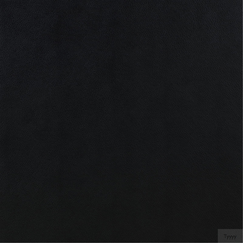 Fauteuil d'appoint rembourré Farallone, Black