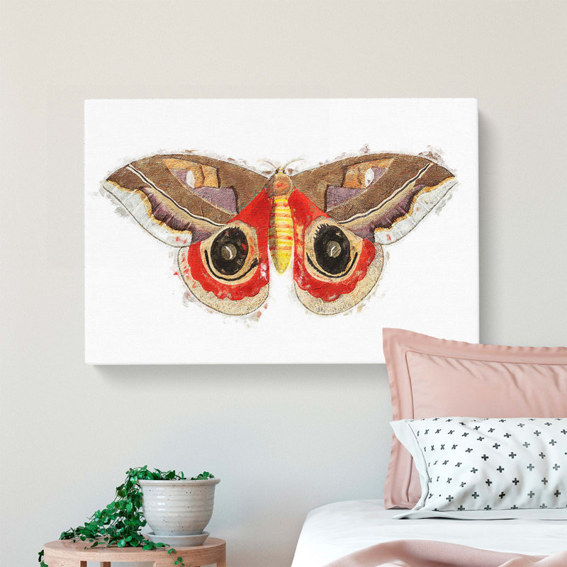 Automeris Moth by George Shaw - Wrapped Canvas Painting, 50cm H x 76cm W x 3cm D