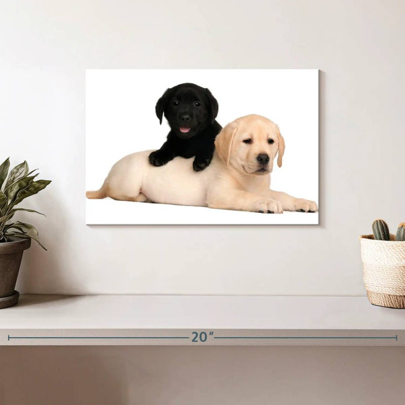 Yellow And Black Lab, 8" H x 12" W