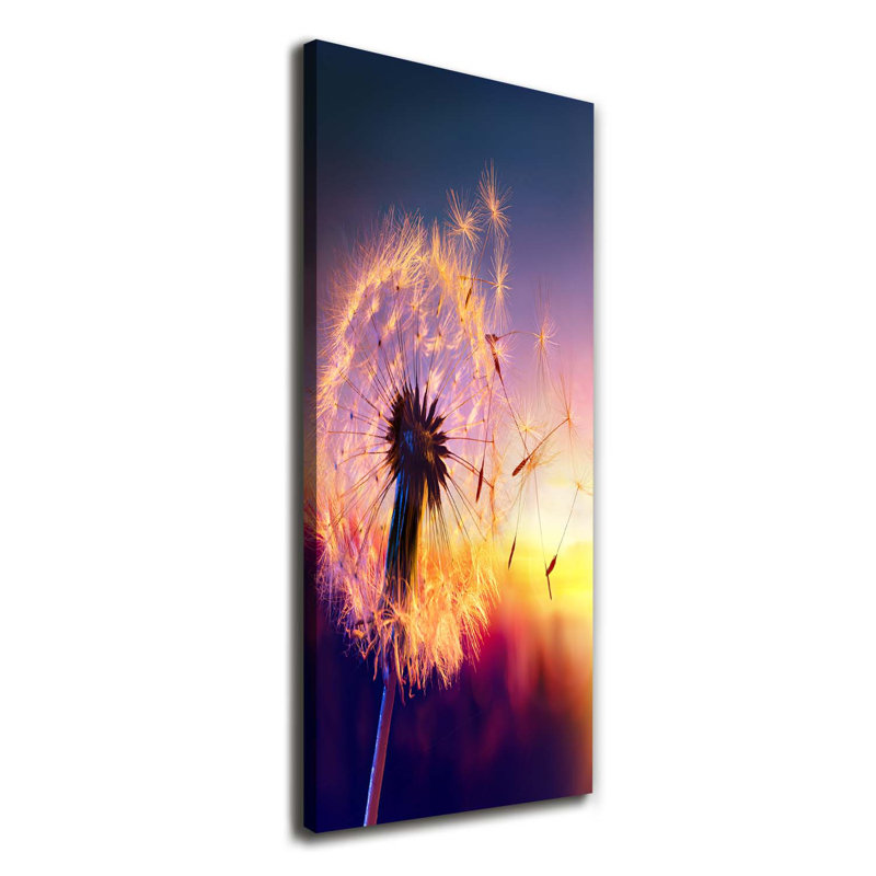 Dandelion - Wrapped Canvas Print