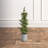 Faux Cedar Tree in Metal Pot-1318244223