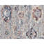 Handmade Wool Area Rug-1052060459