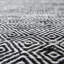 Black/White Outdoor/Indoor Rug
