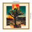 «Bold Joshua Tree» par Walker Noble, reproduction d'art sur toile encadrée-109561821